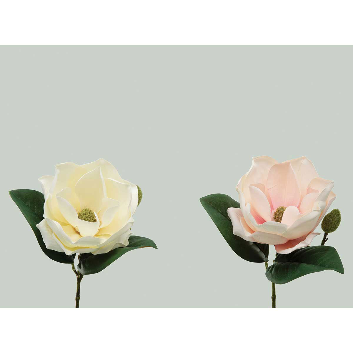 PIK SOUTHERN MAGNOLIA PINK 5IN X 10IN